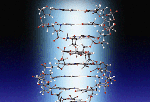 Orbit Molecular Building System Instructions Orbit Molecular Building System Instructions