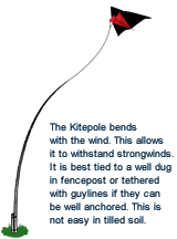 The Kitepole